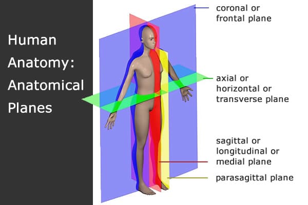 Restorative fitness anatomy planes